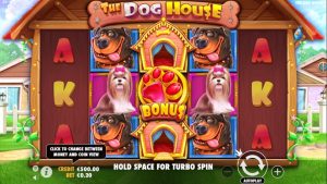 symboles the dog house casino